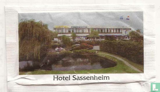 Hotel Sassenheim - Image 1