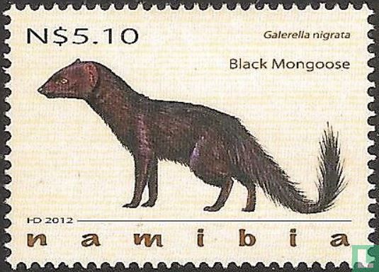 Mongooses 