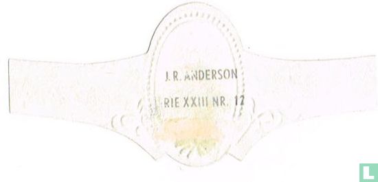 J.R. Anderson - Bild 2
