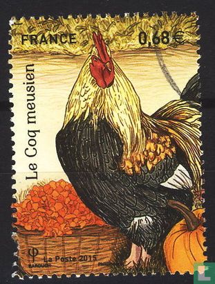 French roosters