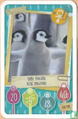 Baby Pinguïn / Bébé Pingouin - Afbeelding 1