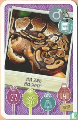 Papa Slang / Papa Serpent - Afbeelding 1