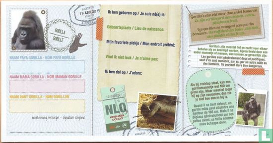 Gorilla Paspoort / Gorille Passeport - Image 2