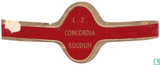 C.Z. Concordia Koudum - Afbeelding 1