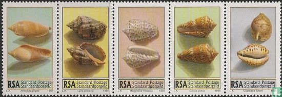 Shells