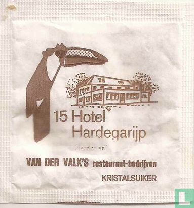 15 Hardegarijp - Afbeelding 1