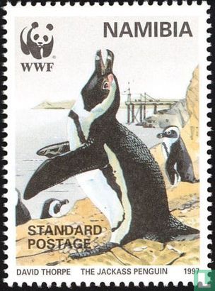 WWF-Black Foot Penguin