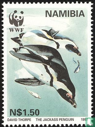 WWF-Black Foot Penguin
