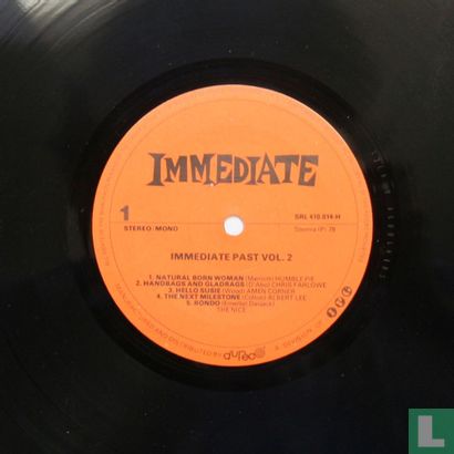 Immediate Past - Image 3