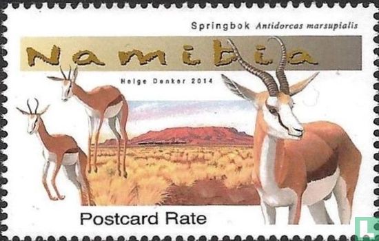 Antelopes 