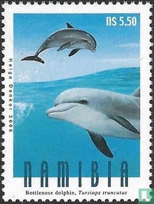 Dolfijnen 