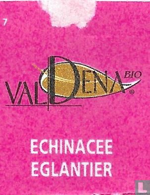 Echinacee-Eglantier  - Bild 3