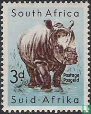 South African animal world