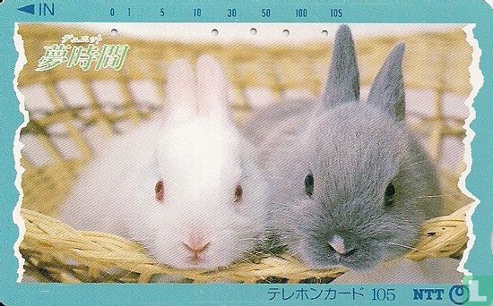 Rabbits - Image 1