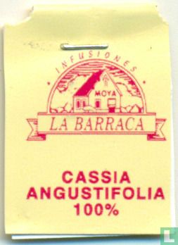 Cassia Angustifolia 100% - Afbeelding 3