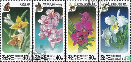 Orchids