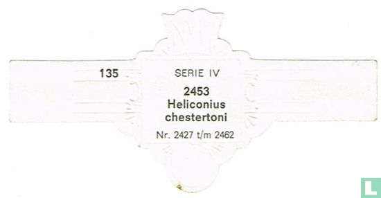 Heliconius Chester Toni - Bild 2