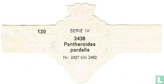 Pantheroides pardalis - Afbeelding 2
