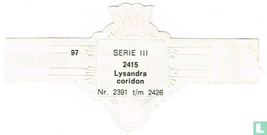 Lysandra coridon - Image 2