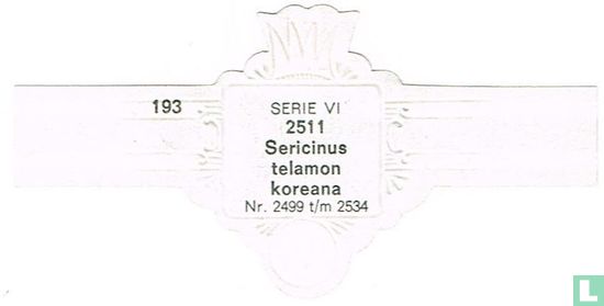 Sericinus telamon koreana - Afbeelding 2