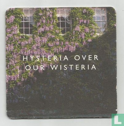 London Pride / Hysteria over our wisteria - Image 1