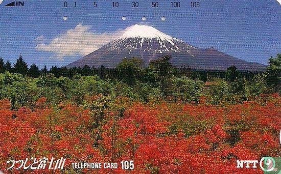 Mt. Fuji Autmn - Flower & Mt. Fuji series III - Afbeelding 1