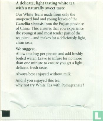 white tea Pure - Image 2