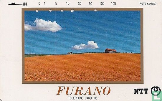 Furano - Blue Sky and Field of Grain - Afbeelding 1