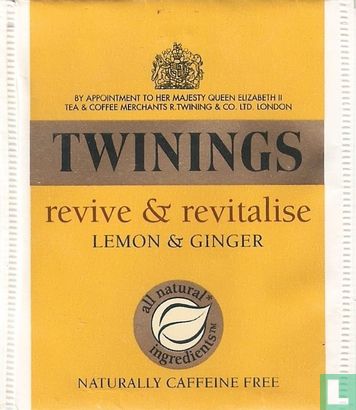 Lemon & Ginger - Afbeelding 1
