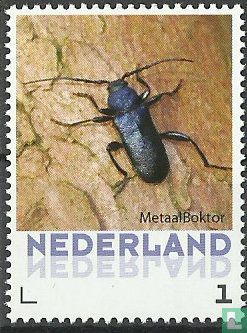 Kevers - Metaal Boktor 1 (2016) - Nederland - LastDodo