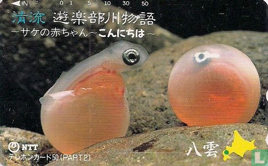 Salmon Eggs - Yakumo - Afbeelding 1