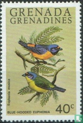 Oiseaux des Grenadines