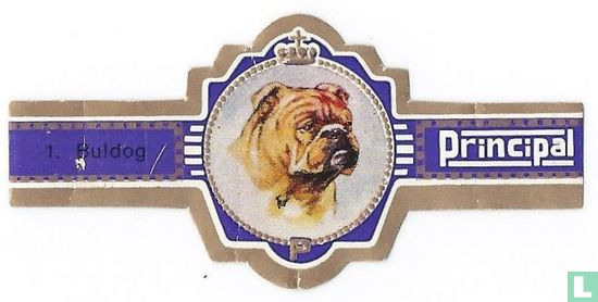 Bulldog - Image 1