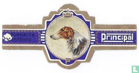 Russian Greyhound - Image 1