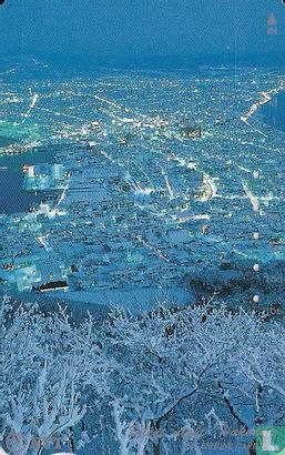 Winter View of Hakodate - Afbeelding 1