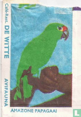 Amazone Papagaai - Café Rest De Witte - Bild 1