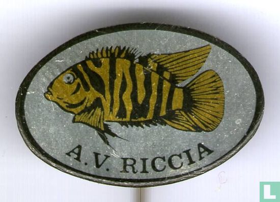 A.V. Riccia