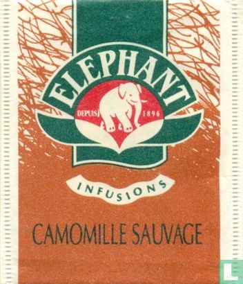 Camomille Sauvage  - Image 1