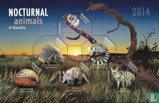 Nocturnal animals from Namibia
