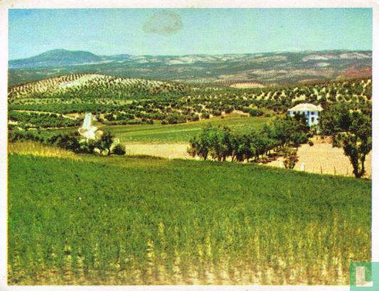 Andalusische teelten - Afbeelding 1