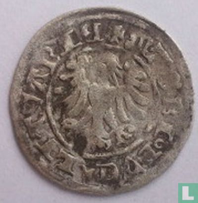Polen-Litouwen ½ groschen 1501 "półgrosz" - Afbeelding 2