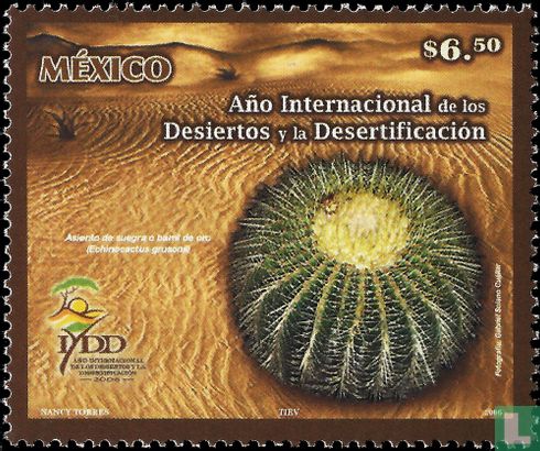 International Year of Deserts and Desertification