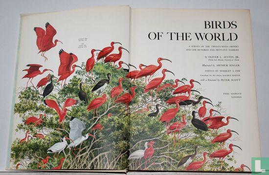 Birds of the World - Afbeelding 2