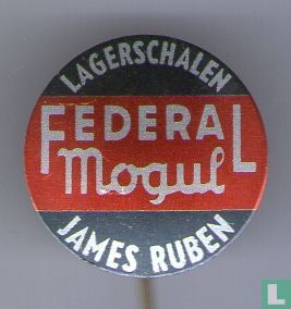 Federal Moqul Lagerschalen