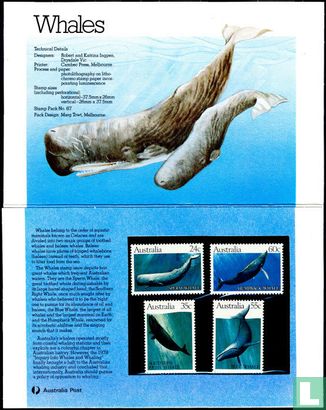 Walvissen - Afbeelding 2