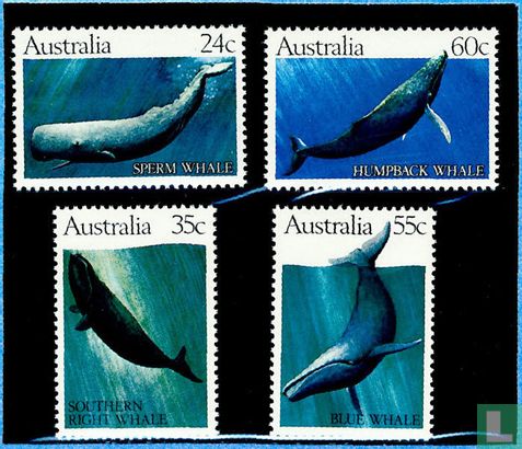 Walvissen - Afbeelding 3