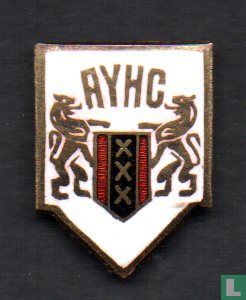 Hockey sur glace Amsterdam : AHYC (Amsterdamse Ys Hockey Club
