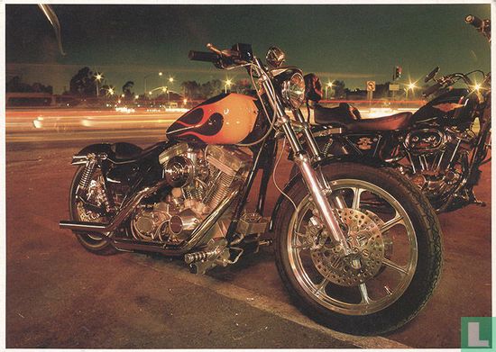 1989 Harley Davidson Lowrider