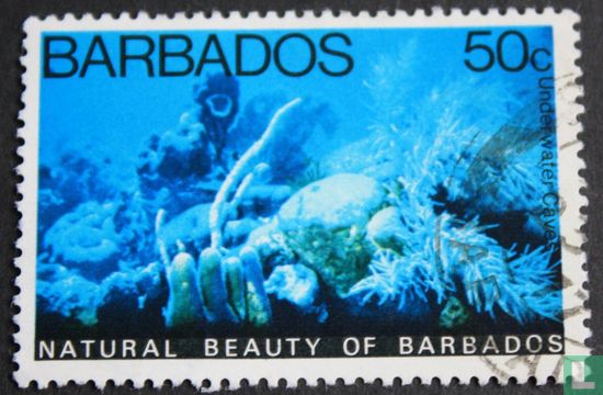 Natuurschoon op Barbados 