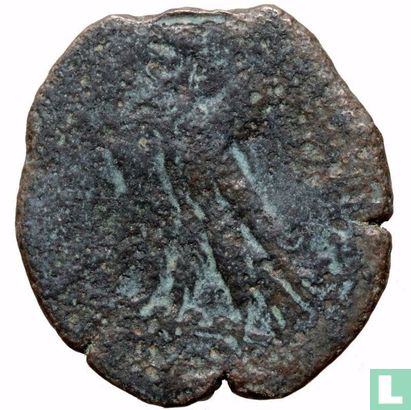 Greco-Egypte  AE26  (Ptolemaeus III, Euergetes)  246-221 BCE - Afbeelding 2